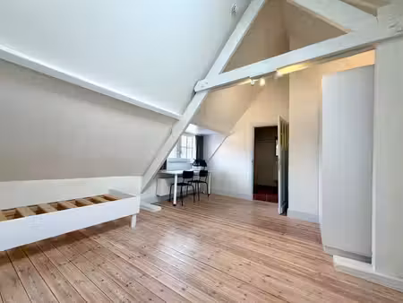 studentenkamer met eigen badkamer in unieke stadvilla.