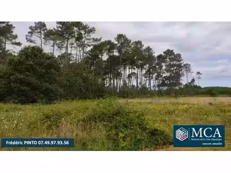terrain constructible viabilisé à vendre