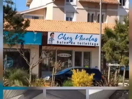 appartement t4 à louer à l’année sur capbreton