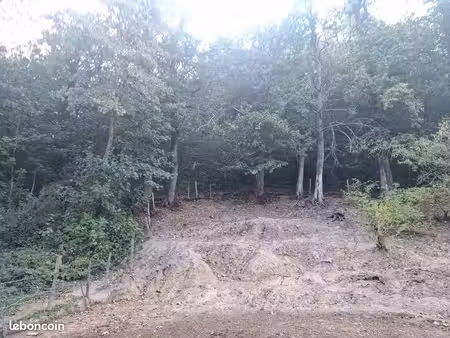 terrain/forêt à louer pour pratique ,quad
