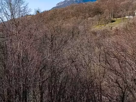 forêt 40697m2