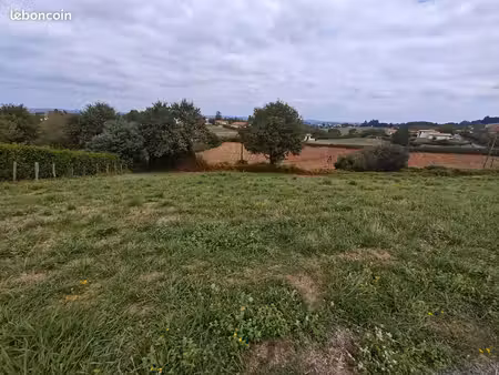 terrain 3000 m² à vendre (en 2 parcelles) — luxe-sumberraute (64120)