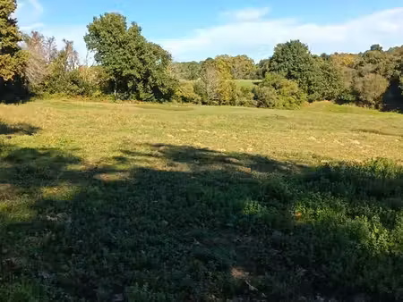 terrain 20000m2