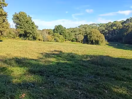 terrain de 2 ha