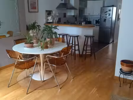 appartement 1 chambre centre ville piéton