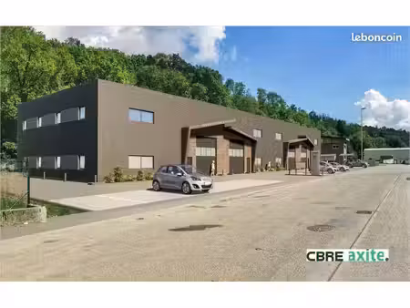 local d'activite 229 m² le bourget du lac