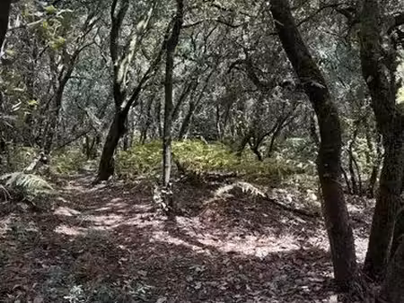 terrain à gordes 1360m² avec belle vue