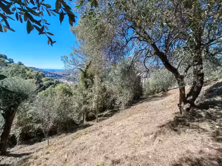 vente terrain 2700 m² saint-andré-de-la-roche (06730)