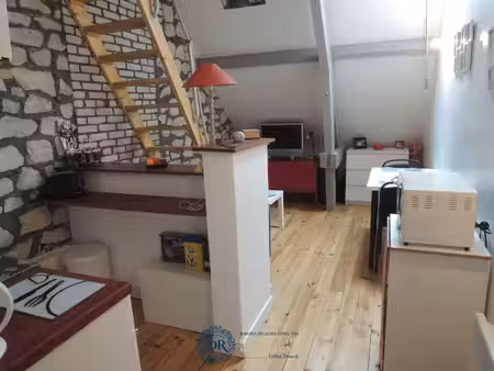 orleans centre - charmant studio meublé