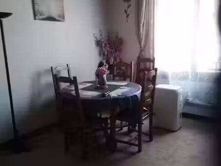 location meublée appartement 1 pièce 36 m² à villeurbanne (69100), 1 200 €