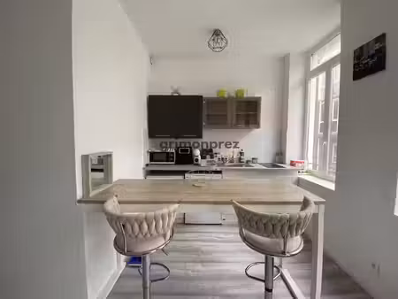 location meublée appartement 2 pièces 28.22 m² à roubaix (59100), 600 €