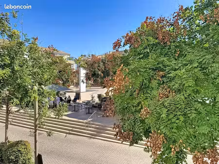 studio 3 pièces 55 m²