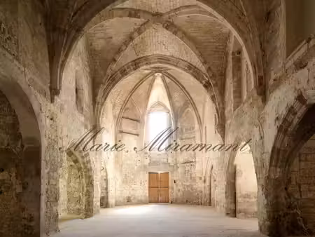 maison de luxe à vendre dans le quartier la balance-palais des papes