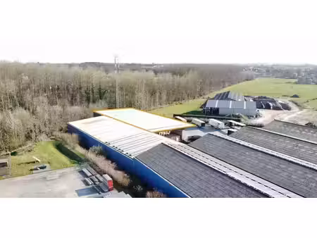 entrepôt à louer à zottegem pour € 2.200