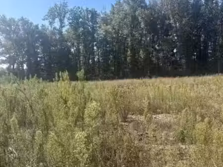 vente terrain 4300 m² à chamadelle (33230), 39 000 €