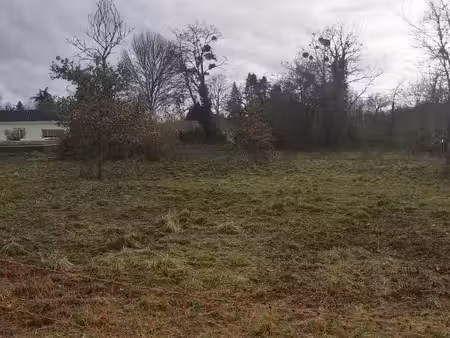vente terrain 1200 m² à noaillan (33730), 72 000 €