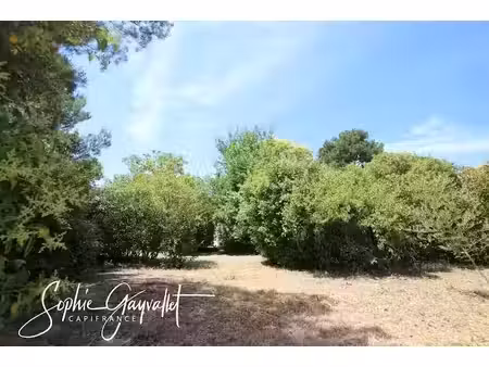 vente terrain 770 m² à velaux (13880), 320 000 €