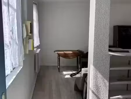 location meublée appartement 1 pièce 24 m² à clermont-ferrand (63000), 388 €