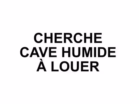 cherche cave à louer, humide ou pas, avec electricité