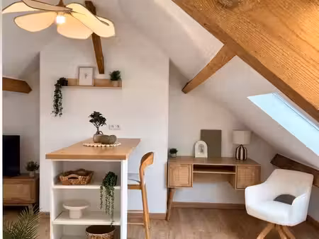 ? charmant appartement meublé 20 m² ?