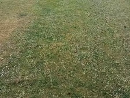 vente terrain à saint-gonnery (56920) : à vendre / saint-gonnery