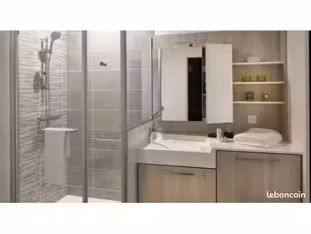 appartement 1 pièce 45 m²