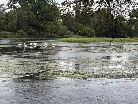 superbe terrain coup de pêche en bord de vienne