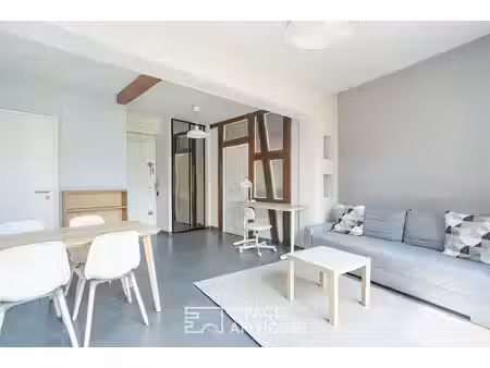 appartement alsacien avec terrasse au coeur de strasbourg