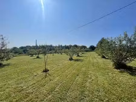 vente terrain à iffendic (35750) : à vendre / 4060m² iffendic