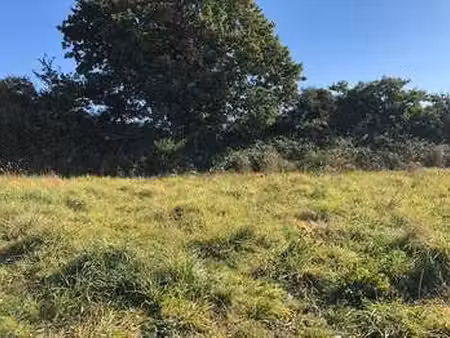 vente terrain à brest lambezellec (29200) : à vendre / brest lambezellec