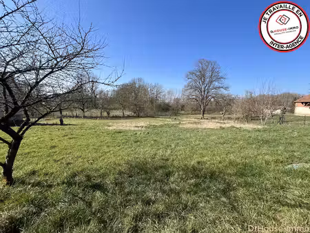 terrain