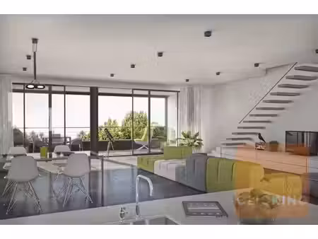 woningen (en makelaars) met karakter