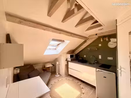 studio meublé en duplex 18 m² — quai de la rize avec cave et local vélo