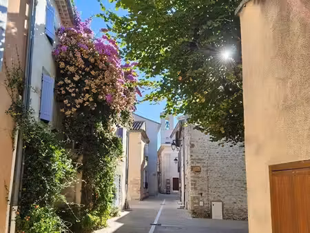 maison de village avec rentabilité