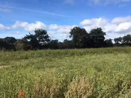 vente terrain à brest lambezellec (29200) : à vendre / brest lambezellec