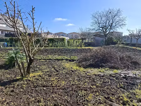 terrain constructible