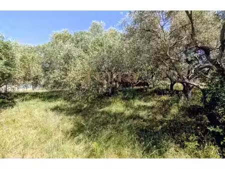sorède terrain à bâtir de 741 m2 libre de constructeur