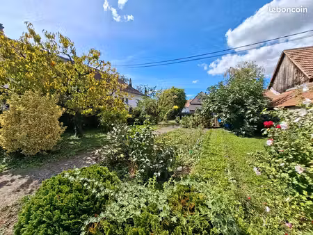 terrain constructible 490 m² à gerstheim (67150) – libre d’architecte