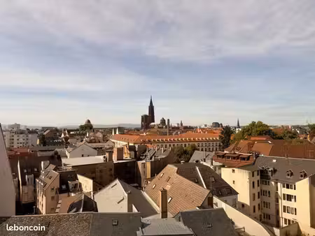 magnifique logement à la krutenau