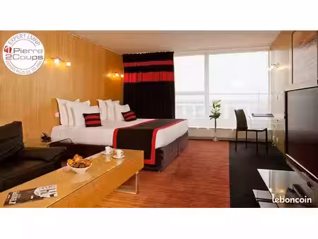 appartement 1 pièce 46 m²