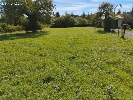 terrain constructible