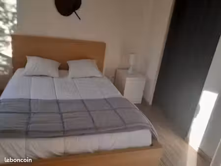 appartement une pièce 31 m2