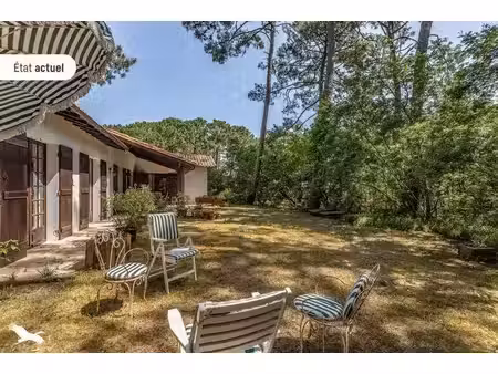 maison de luxe à vendre dans le quartier centre cap ferret