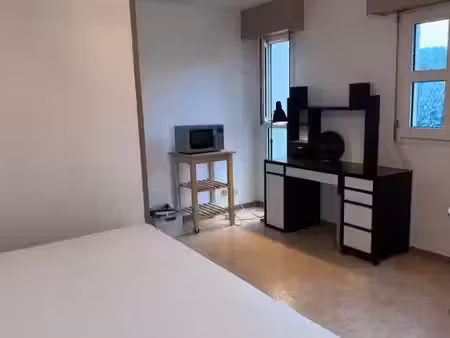 location appartement 1 pièce 20 m² à gradignan (33170)