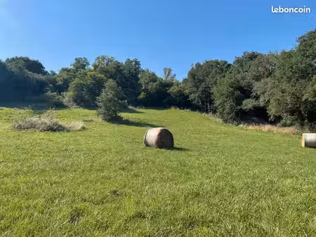 terrain constructible