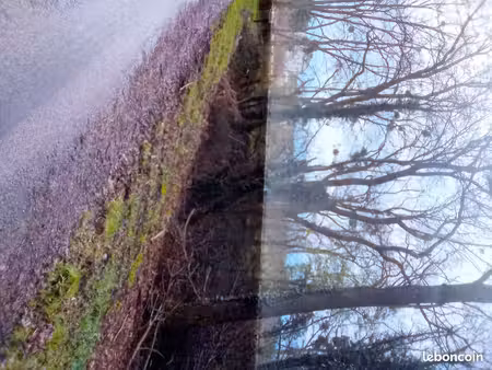 terrain non constructible hors village de 254m2, commissey 89430 tanlay
