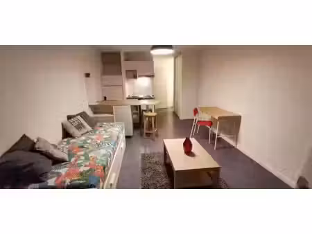 location appartement 1 pièce 25 m² à bordeaux (33000)