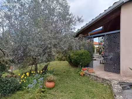 maison albi 176m2