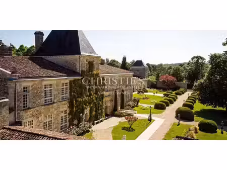 vignoble avec piscine et dépendances bordeaux (33)