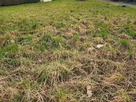 terrain constructible de 583m2